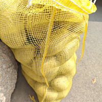 Leno Mesh Bag PP Plastic Leno Netzak voor aardappel, ui, dadel, fruit, groente, landbouwverpakkingen