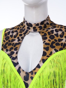 Leotardo de Danza Latina Profesional de Spandex con Flecos, Estampado de Leopardo, Espalda Descubierta, de Una Pieza, para Actuaciones en Escenario, Personalizado para Mujer - Product Image 3