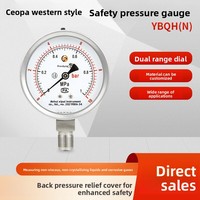 Stainless Steel Shock-Resistant Safety Pressure Gauge YBQH(N) Diaphragm Dual-Range (-0.160 MPa) Explosion-Proof Customizable