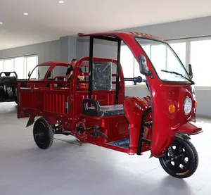 Triciclo elétrico Tuktuk Tianyin, motor a gasolina, táxi elétrico de carga, boa qualidade, vermelho para carga, 800W, 1000W, display LCD 60V
