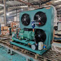 Unidad de Refrigeración Monofásica de -20 °C y 220 V con Compresor de Pistón Reciprocante y Bajo Nivel de Ruido para Almacenamiento en Congeladores Rápidos