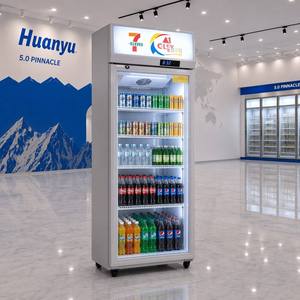 Refrigerador vertical <span class=keywords><strong>de</strong></span> 300L, exhibidor <span class=keywords><strong>de</strong></span> bebidas y helados, congelador eléctrico económico, superventas - Product Image 4
