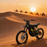 2026 Original Sur Ron Light Bee Moto tout-terrain pour adultes MX Trail Motocross électrique Surron Light Bee