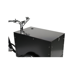 Bicicleta Eléctrica Familiar Tipo Velomóvil, Triciclo Eléctrico de Cola Larga, 48v250w con Sensor de Torque - Product Image 4