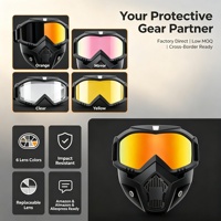 Lunettes de moto TPU très vendues, anti-vent, avec lentilles interchangeables pour le ski, le cyclisme et le tout-terrain