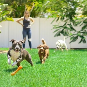 Balcon amical de Linwoo Chine aménagement paysager 60mm gazon artificiel fabricant bon prix gazon synthétique pour chiens et petits - Product Image 6