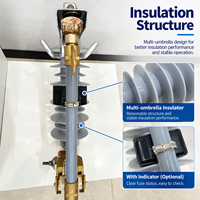 Équipement de protection électrique extérieur MRCA-12 10 kV avec support isolé et assemblage combiné de parafoudre et de coupe-circuit