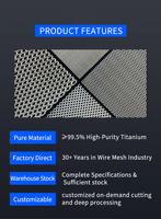 Maille métallique expansée en titane pur, feuille à trous diamantés de 0,5-2,0 mm pour électrode d'anode électrolytique, batterie et filtration chimique