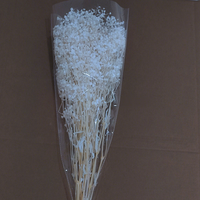Karangan Bunga Hias dan Tanaman Bunga Awet Mini Baby's Breath Bunga Kering Karangan Bunga Putih Buket Gypsophila