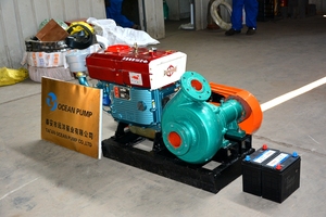 Conjunto de bomba de arena de 4 pulgadas, 6 pulgadas, 8 pulgadas, 10 pulgadas, 12 pulgadas, venta impulsada por motor diésel y toma de fuerza en Congo, Nigeria - Product Image 5