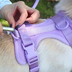 Custom Outdoor Breathable Adjustable PVC Pet Dog <b>Leash</b> Chest Strap Dog <b>Harness</b> Collar <b>Leash</b> Set - Product Image 3