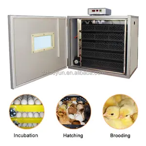 TUOYUN Factory Direct Sale 12 Volt Battery Hatching Machine Bird Small Automatic Chicken Egg Incubator