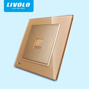 Livolo VL-W291C-13 оптовая продажа Горячая продажа компьютерная розетка Золотая настенная розетка