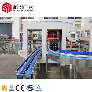 automatic carton unfolding packer carton sealing machine with case erector