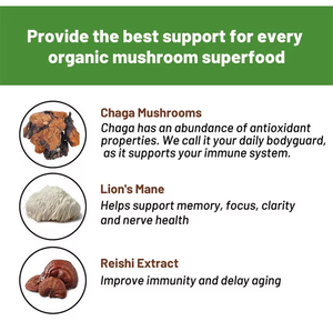 6 in 1 Super Foods Coffee &amp; <strong>Chocolate</strong> Flavored Instant Mushrooms Cacao <strong>for</strong> DM Neutral Taste Wholesale Bag Packaging - Product Image 6