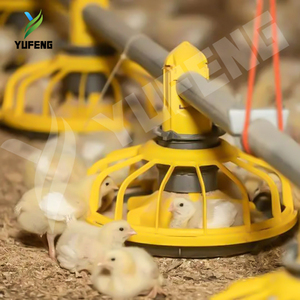 Thép Đúc Sẵn Gà Coop Hot Bán Sàn Hệ Thống Cho Gà Thịt Và Trứng Sản Xuất Trang Trại Sử Dụng Mới - Product Image 5