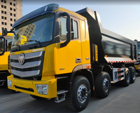 Camions à benne basculante Foton Auman Tripper d'occasion, poids lourd, 460 ch, 5,6 m, 6x4, à vendre