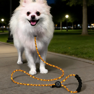 도매 강아지 용품 라이트업 개 목줄 LED 발광 애완견 목줄 야광 나일론 애완견 충전식 LED 목줄 세트 - Product Image 2