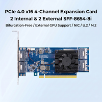 Kartu Switch Server PCIe 4.0 X16 PEX88048 Bebas Bifurkasi 2 Internal 2 Eksternal SFF-8654-8i NVMe U.2 EGPU DOCKING STATION