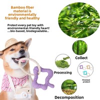 Jouet à mâcher interactif pour chat et chien, en caoutchouc biodégradable, fantaisie, dessin animé, résistant aux morsures, pour le nettoyage des dents