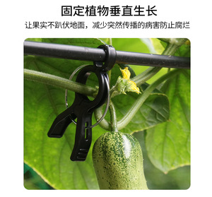Clip rond en plastique pour plantes avec anneau métallique, support durable pour plantes grimpantes - Product Image 4