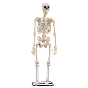 <span class=keywords><strong>Décoration</strong></span> <span class=keywords><strong>géante</strong></span> d'extérieur Z319 de 3 mètres (10 pieds) en forme de squelette lumineux et sonore pour <span class=keywords><strong>Halloween</strong></span>, idéale pour l'export. - Product Image 1