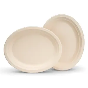 Assiette ovale bagasse jetable pâte de canne à sucre gâteau bagasse assiette ronde