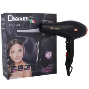 Dessini New Arrival Quiet Sound Design Travel &Home Professional Heat and Cool Setting Hair Blow Dryer