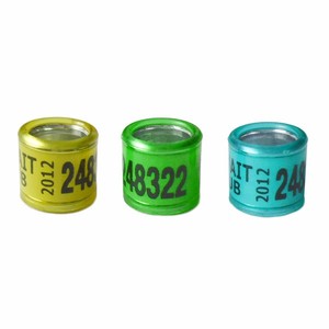 Haute Qualité Offre Spéciale Course Pigon Bague - Product Image 5