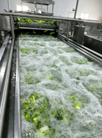 Industriële groente- en fruitwasmachine met motor en pomp voor het reinigen van sojabonen en maïs