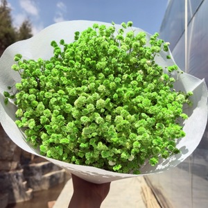 Flores Secas de Gypsophila Naturales Preservadas de Alta Calidad al por Mayor, 400 g, Regalo para el Día de San Valentín, Navidad, Decoración del Hogar - Product Image 5