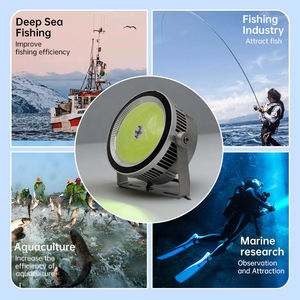 Luz LED Verde/Azul de 300W/600W para Atraer Peces, Alta Luminosidad, DC12-48V, Lámpara para Atraer Calamares, IP66, para Barcos de Pesca Comercial - Product Image 6