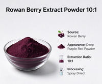 Poudre d'extrait de baie de sureau (Rowan Berry Extract Powder) 10:1, extrait de Sorbus Aucuparia, poudre de baie de sureau, ingrédient de complément alimentaire, vente en gros