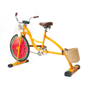 그 외 유원지용 EXI 레크리에이션 기계 전기 자전거 고정 기어 헬기 자전거 - Product Image 5