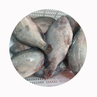 Filet de poisson de tilapia congelé exportateur de fruits de mer de Chine