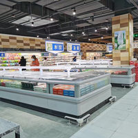 Congélateur d'îlot de supermarché avec contrôle numérique de la température et armoire en acier peint pour la présentation de viandes et de glaces