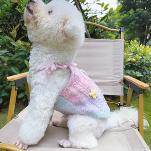 Pull pour chien, couleurs dégradées, gilet en tricot Argyle pour Teddy Bichon Devon Sphynx, vêtements pour chats, à porter en quatre saisons - Product Image 4