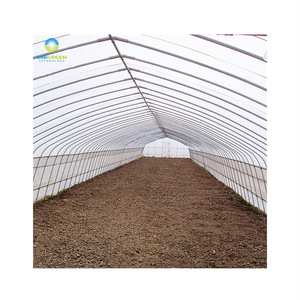 <span class=keywords><strong>Serre</strong></span> Simple de taille Standard 8x30, petit et bon marché Type de Tunnel à portée unique pour légumes avec système de Ventilation - Product Image 5
