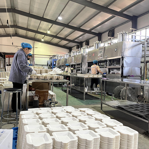 Machine à emballer les aliments, assiettes en papier de Bagasse de canne à sucre biodégradable jetable