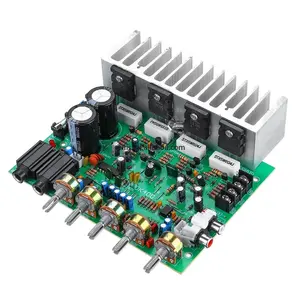 Placa amplificadora de Audio HIFI Digital, amplificador de potencia Reverb de 250W + 250W, preamplificador de Audio, amplificación trasera con Control de tono