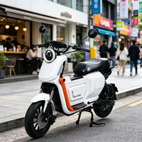 . Wholesale 60V 1000W Electric Motorbike for Adults Brushless Motor Dual Disc Brake System 60km/h Urban Travel