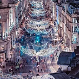 Individuelle Straßendekoration für den Außenbereich Seil-Motiv-Lichter Weihnachtsdekoration Straße Schneeflockenform Stange-Halterung LED-Lichter