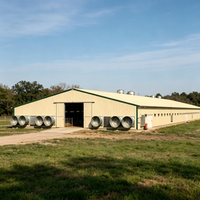 Poulailler préfabriqué en acier haute résistance pour l'élevage de poulets de chair avec ventilation intégrée pour une utilisation à long terme dans l'industrie zootechnique