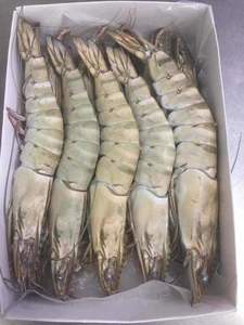 Gamberetti di tigre nera congelati - Product Image 2