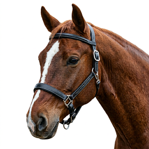 ANNABELLE EQUESTRIAN - Halte de cheval de haute qualité en cuir durable, design réglable, fabricant et fournisseur en gros, Uttar Pradesh - Product Image 1
