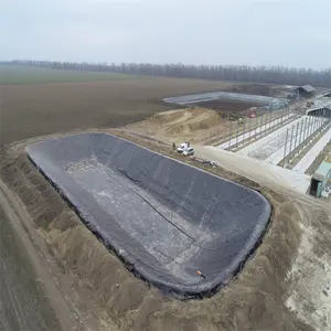 Usine géomembrane PEHD de haute qualité 1mm 0.75mm 0.5mm doublure d'étang à poissons