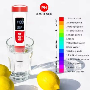 China Fornecedor Fornecimento Melhor Preço Qualidade Portátil <span class=keywords><strong>PH</strong></span> <span class=keywords><strong>Meter</strong></span> <span class=keywords><strong>PH</strong></span> ORP <span class=keywords><strong>Meter</strong></span> - Product Image 3
