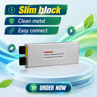Аккумулятор LiPo LongKun 3.7V 3.85V 80Ач 100Ач с высокой плотностью энергии, перезаряжаемая литий-полимерная батарея в мягком корпусе, OEM ODM