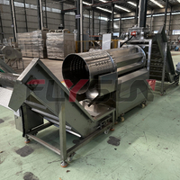 Multifunctionele complete productielijn voor diepvries snacks, inclusief continue transportband en friteuse