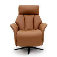 Geeksofa Chaise inclinable de style nordique à double moteur électrique pour la mobilité médicale avec fonctions pivotantes pour les personnes âgées